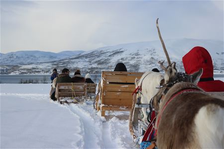 Folk på tresleder trukket av reinsdyr i snødekt landskap med fjell og vann i bakgrunnen.
