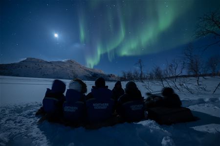 group of people under a sky full of northern lights