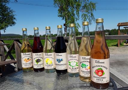 7 stycken flaskor på rad som innehåller olika slags fruktdrycker.