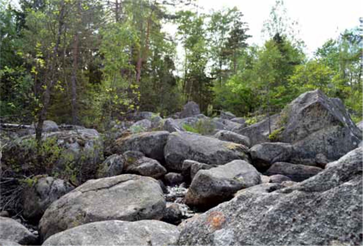 Dolda fallet/Åaskärvet.   image 1