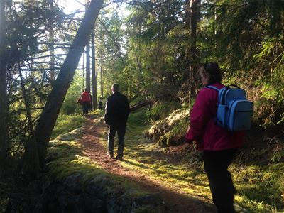 Hikers in the wood.