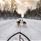  © Arctic Panorama Lodge, Dog sledding