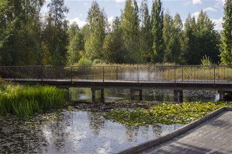 En bro och växtlighet i vattenparken.