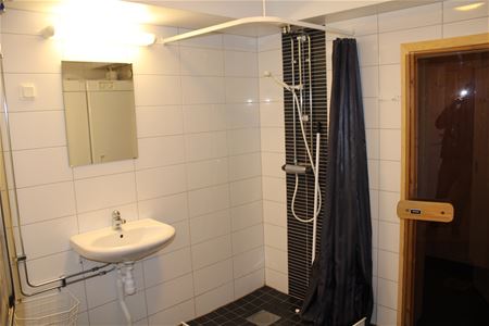 Bathroom with shower, toilet and entrance to the sauna.