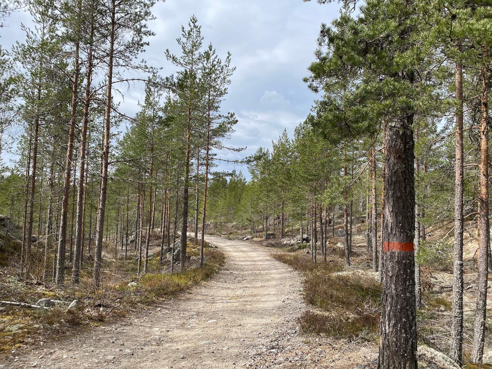 Träna utomhus utanför Gävle i Gästrikland - Foto Hedenstugan