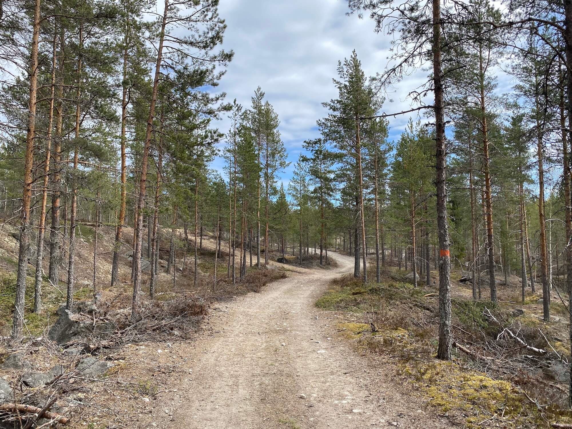 Träna utomhus utanför Gävle i Gästrikland - Foto Hedenstugan