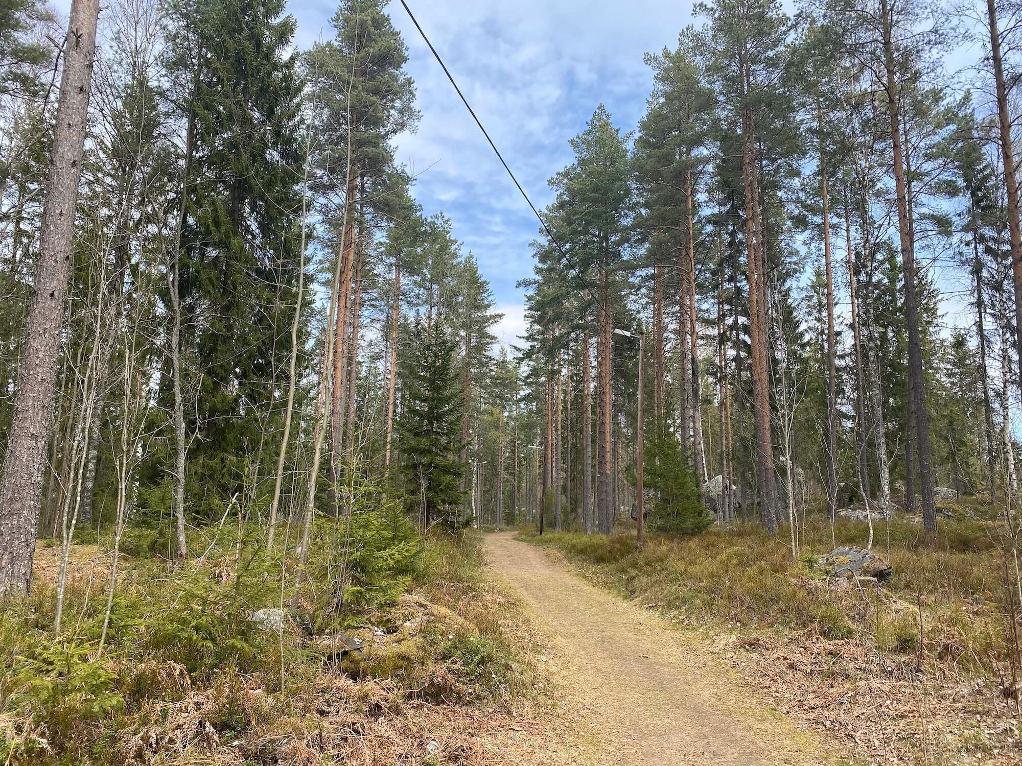 Träna utomhus utanför Gävle i Gästrikland - Foto Hedenstugan