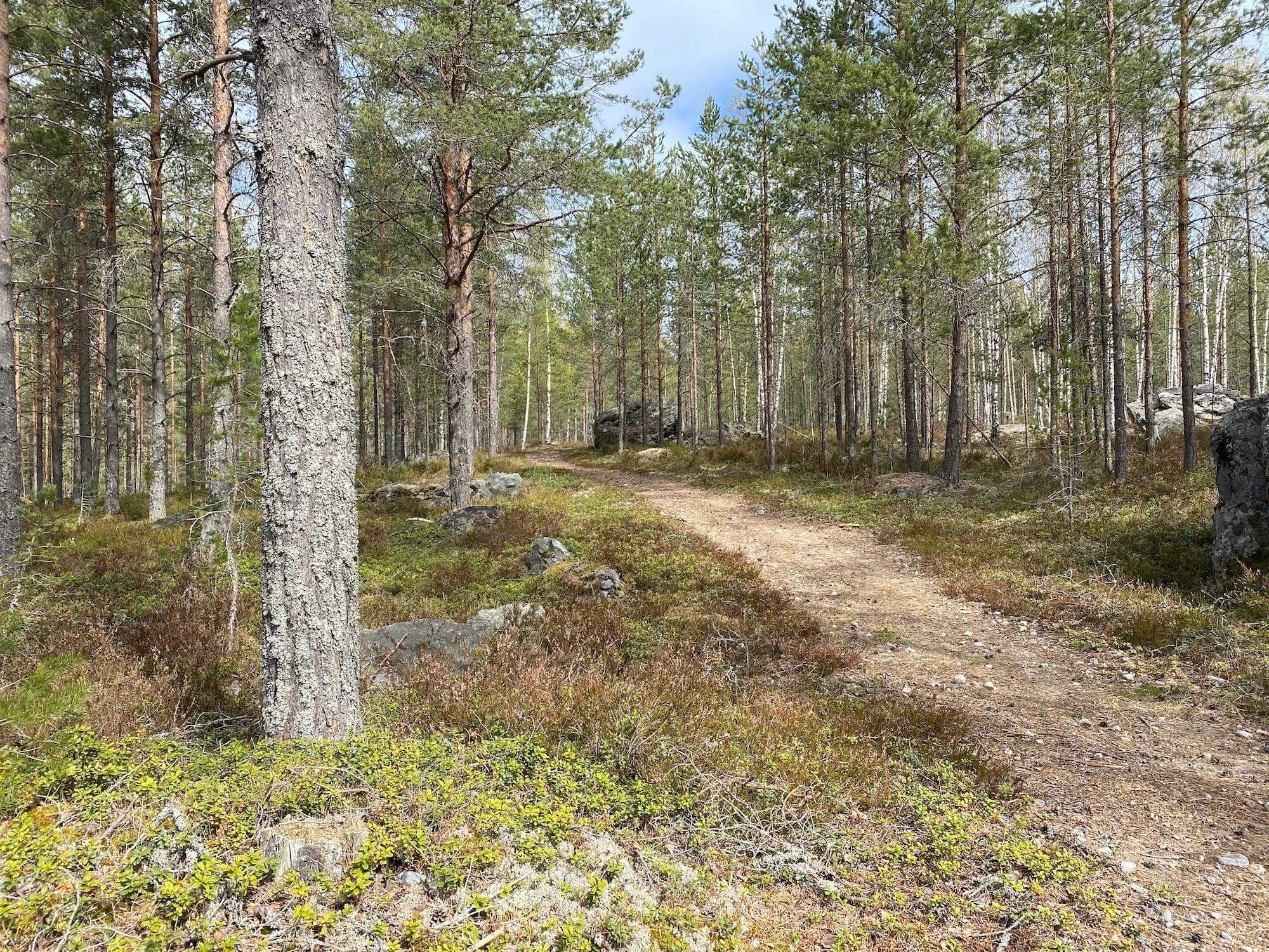 Träna utomhus utanför Gävle i Gästrikland - Foto Hedenstugan