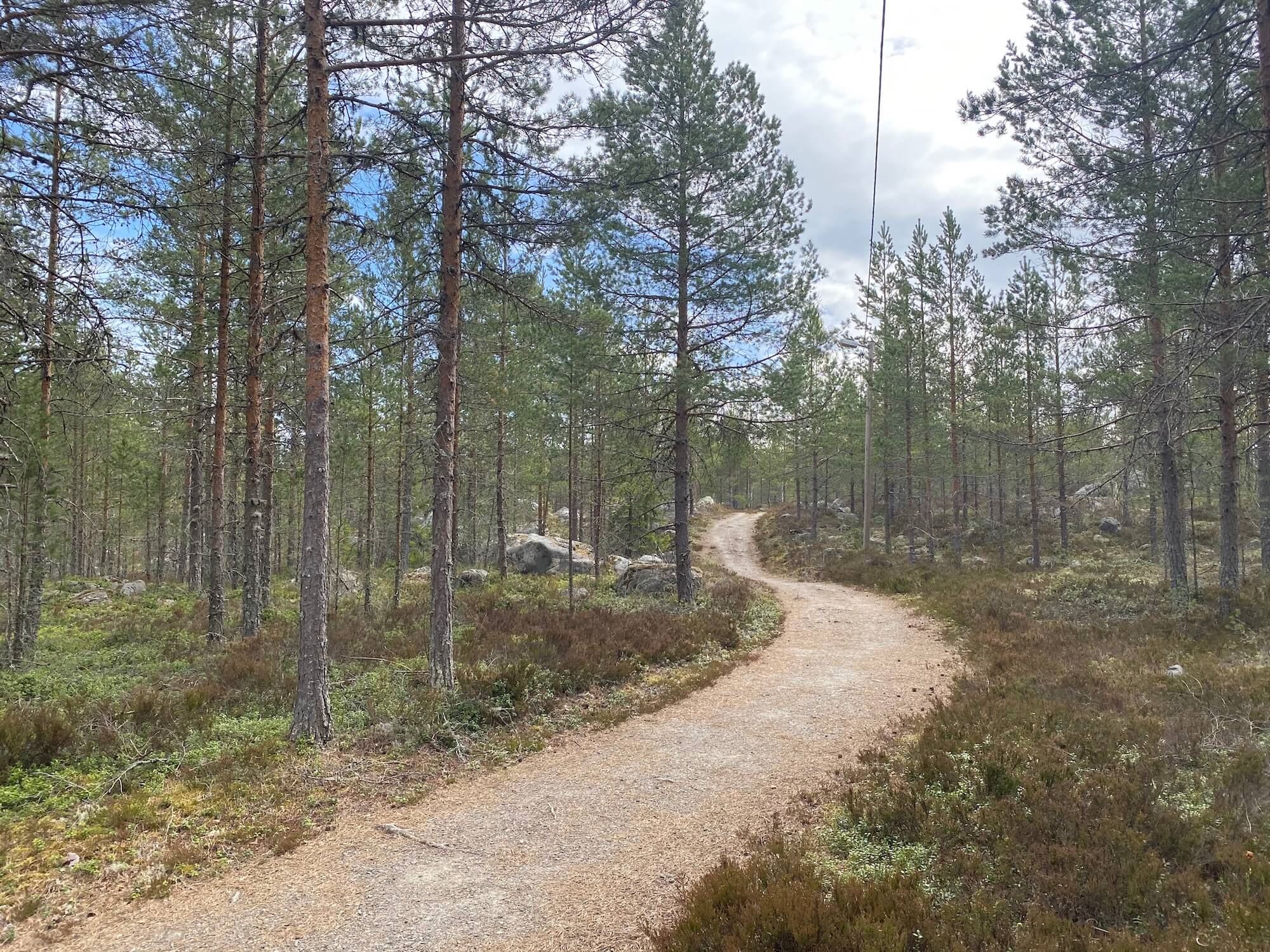 Träna utomhus utanför Gävle i Gästrikland - Foto Hedenstugan