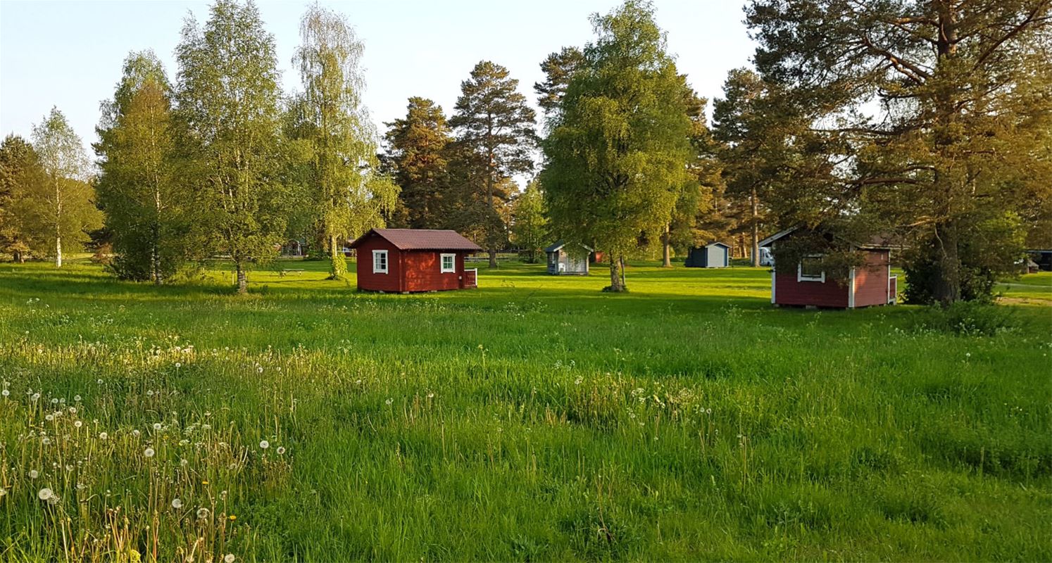Small red cottages among the trees.