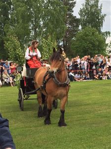 Häst med vagn och fin dalkulla.