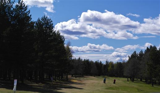 Golf course. 
