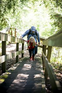 Adult and child are walking over a bridge in the forest.