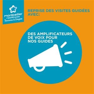 French guided tour: 
