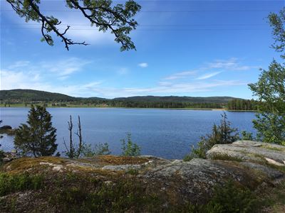 View of lake.