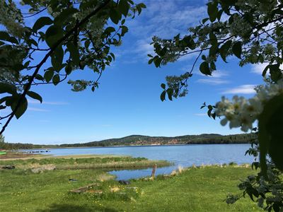 Utsikt över sjö och myrlandskap.