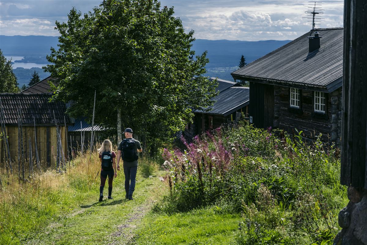 Two persons are walking at the summer farm.