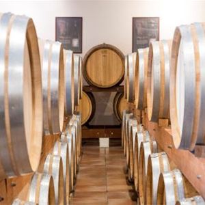 Wine tour Tavel and Chateauneuf du Pape- A la Française ! Provence