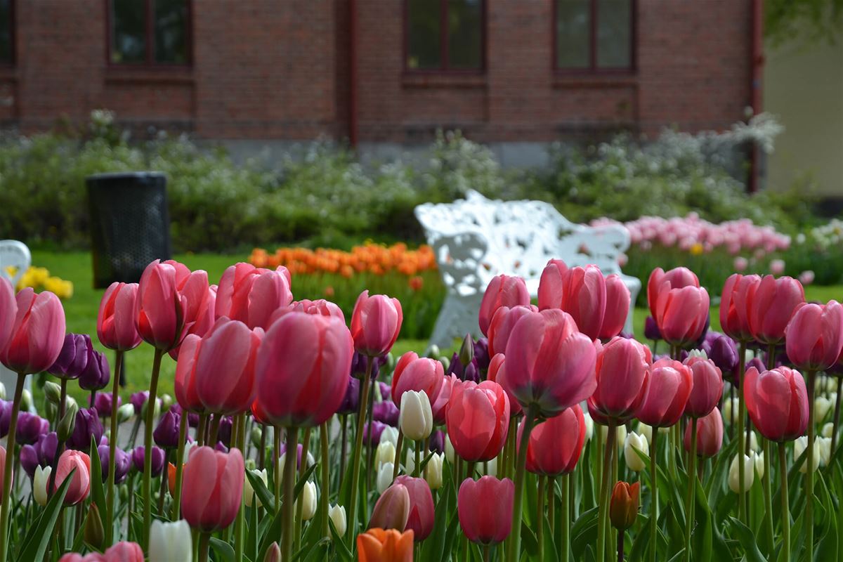Parks of Söderhamn image 1