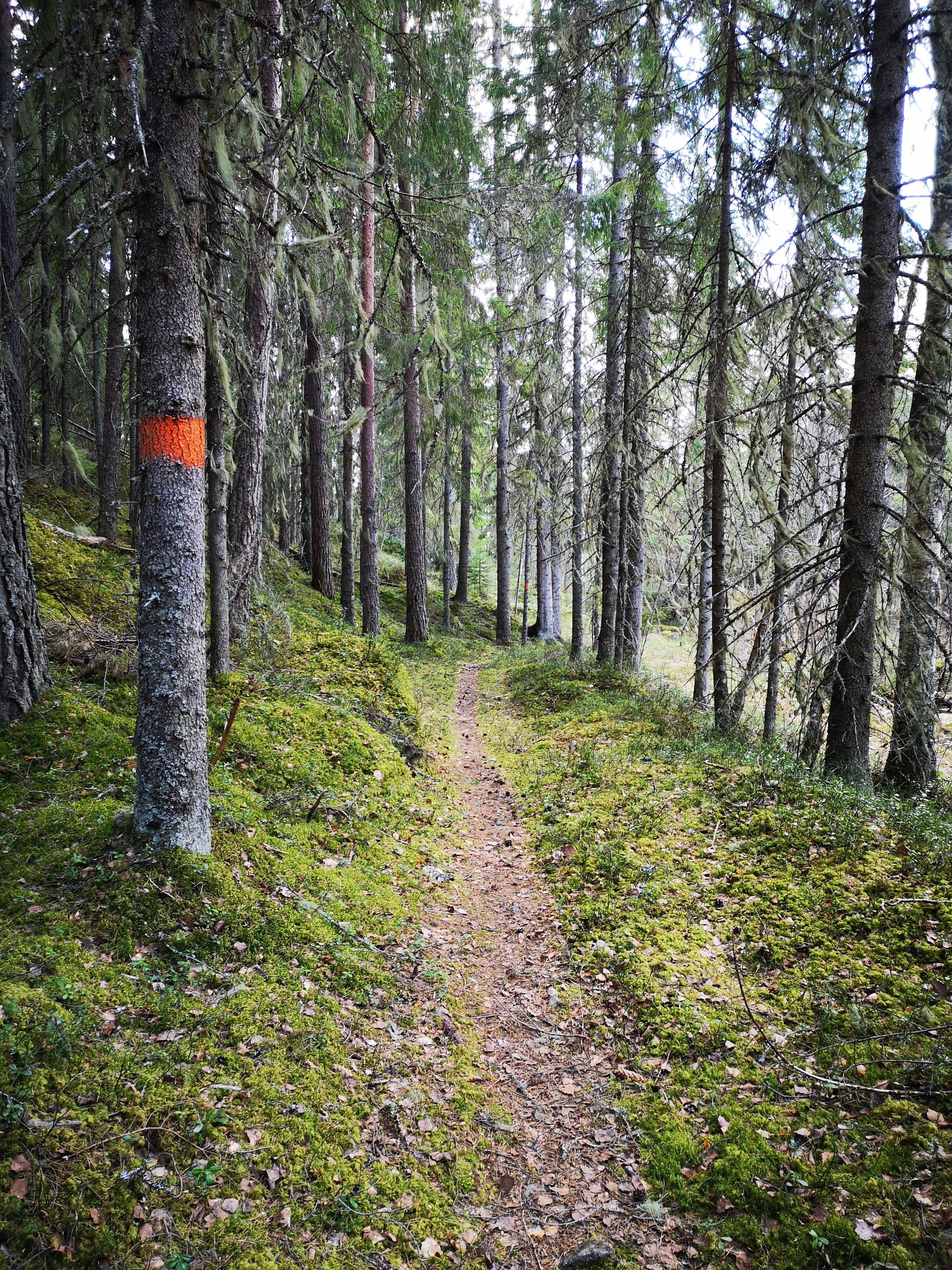 Kajvallsleden