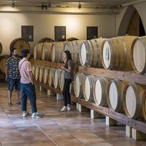 Culture & Vin à Châteauneuf du Pape - A la Française ! Provence