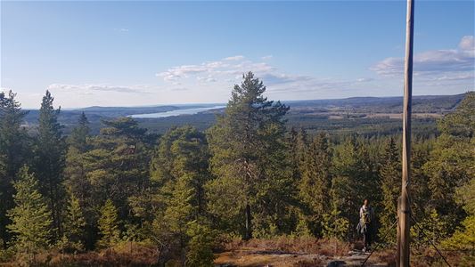 Utsikt över skog, berg och sjö.