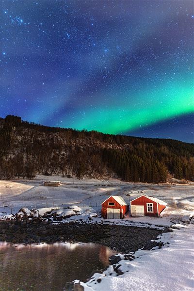 David Rocaberti,  &copy; Dyrøy Holiday, Northern Lights over farm and forest 
