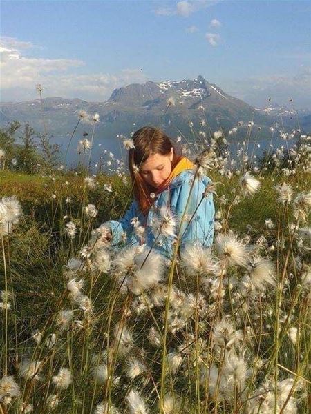  &copy; Dyrøy Holiday, Girl sitting on the ground surrounded by cotton grass 