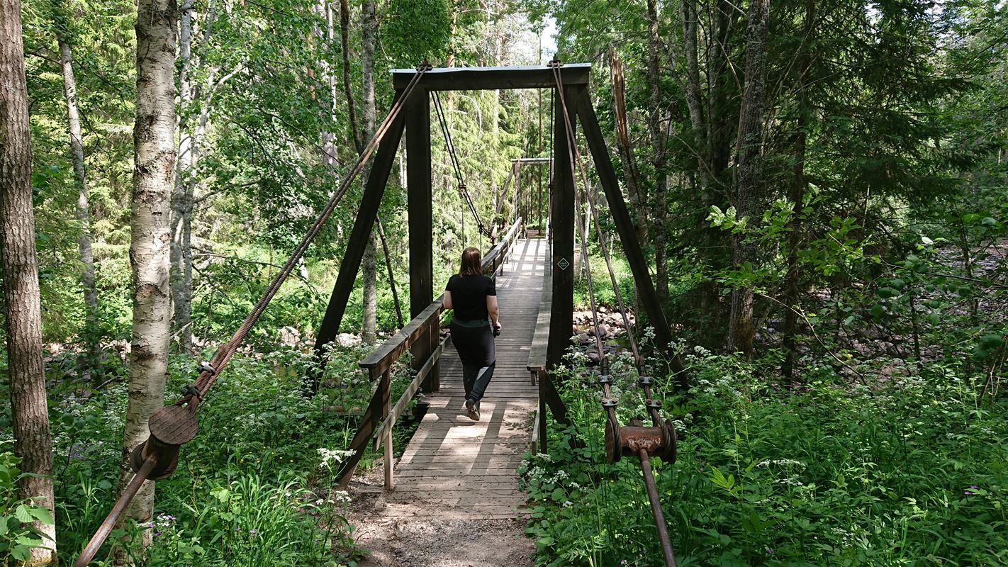 Bridge in forest.