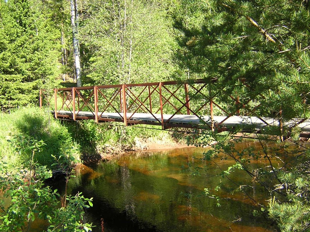 Gångbro leder över å i skogen.