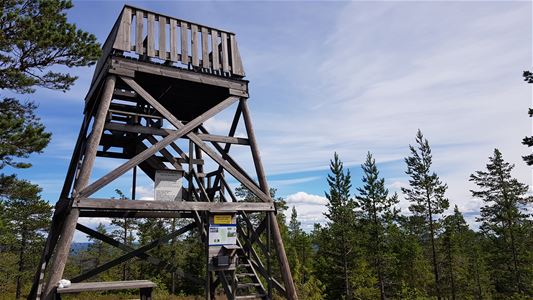 The view tower.