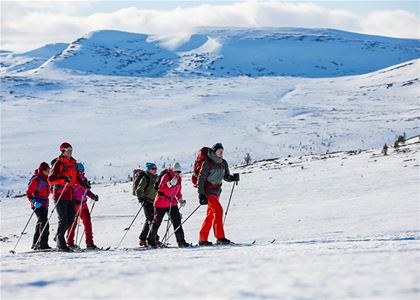 People doing nordic skiing.