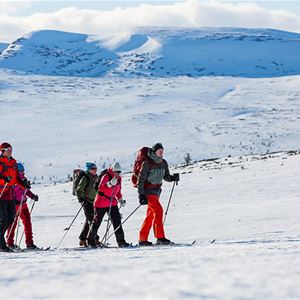 People doing nordic skiing.