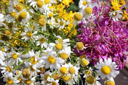 blommor, Gnarps hembygdsgård
