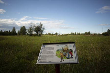 Information sign at gravefield