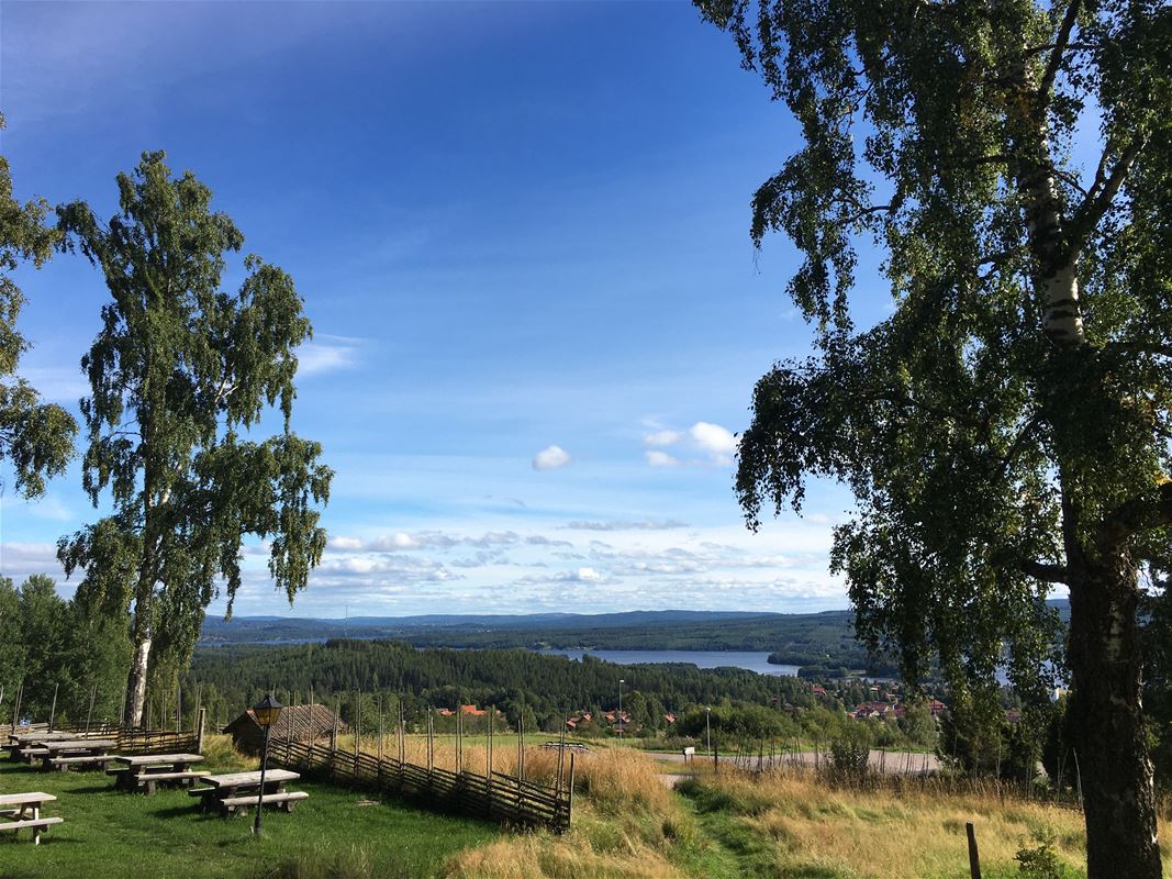 View from Björkberget.