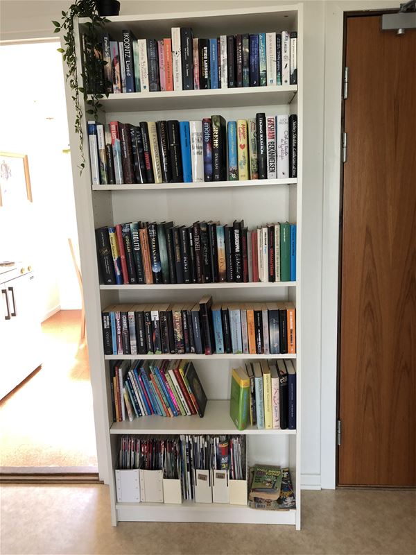 Bookshelf with a library.