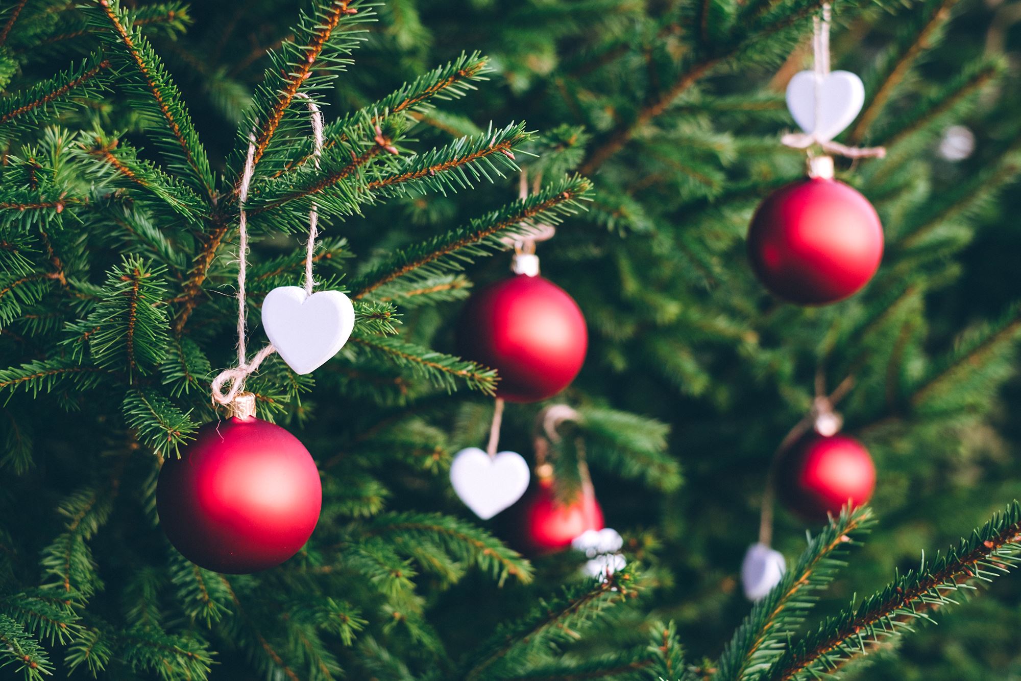 Höst och julmarknad i Halahult 