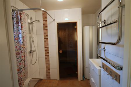 Bathroom with toilet, shower and a entrance to the sauna.
