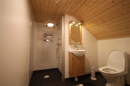 Bathroom on the loft with shower and a toilet.
