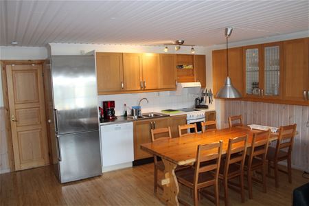 Kitchen area in the living room.