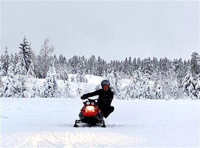 Mini snowmobile with driver in winter landscape