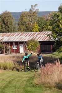 Two people cycling next to a meadow.