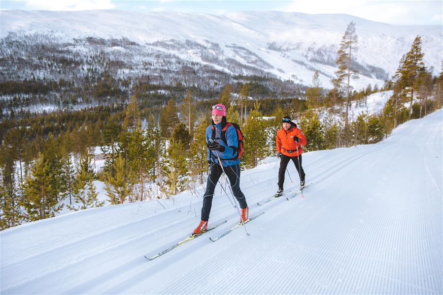 Foto Terje Rakke