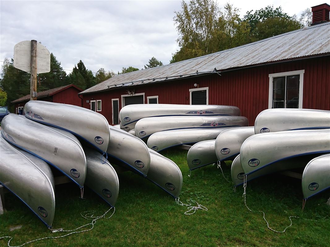 Many canoes to rent.
