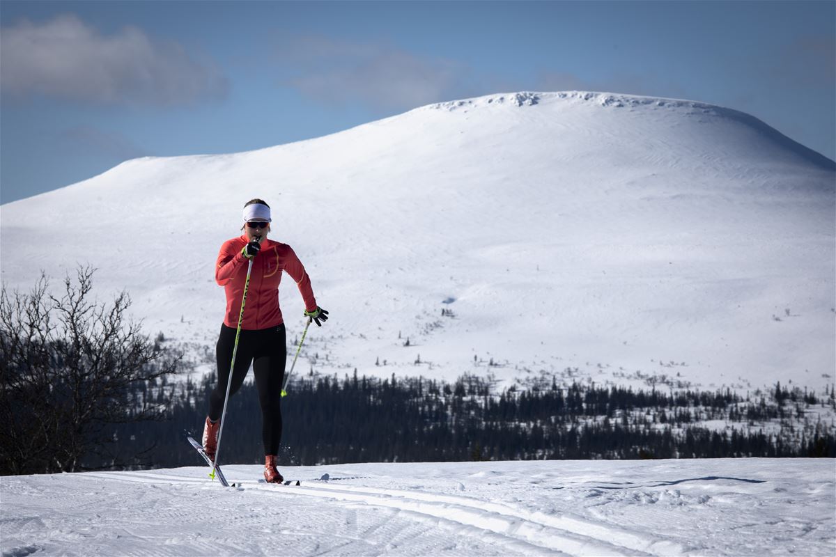 Cross-country skier with mountain Städjan in the background.