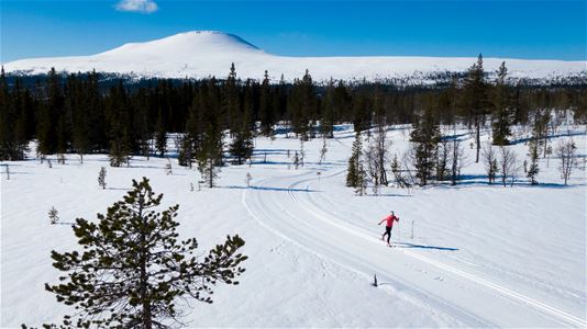 Cross-country skier with mountain Städjan in the background