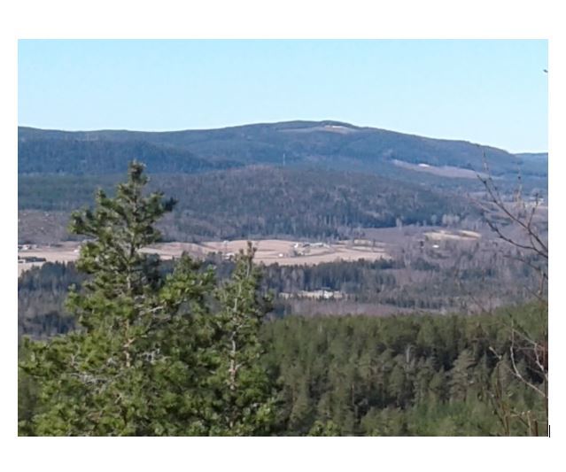 Gravmyrberget
