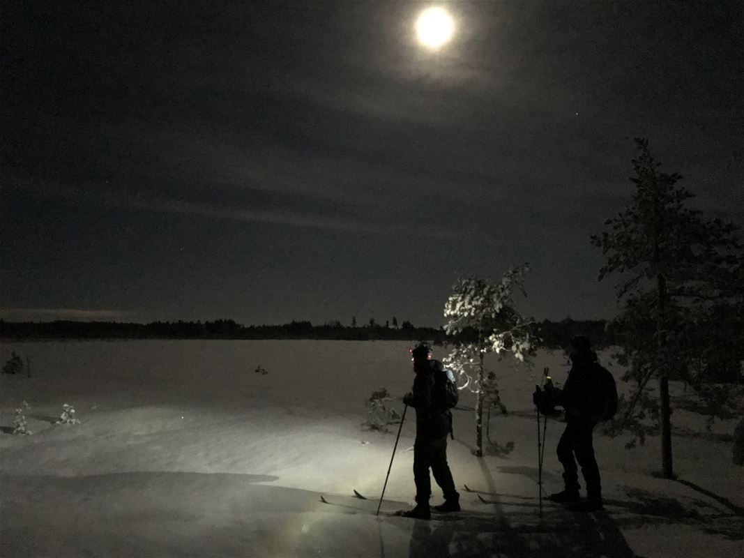 Two people with skis in the dark and a headlamp.