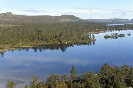 Vy över Storån vid Långfjällets naturreservat.